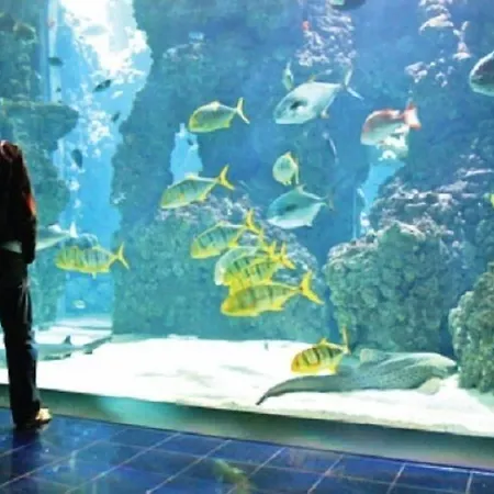 Serafino Liguria ホテル