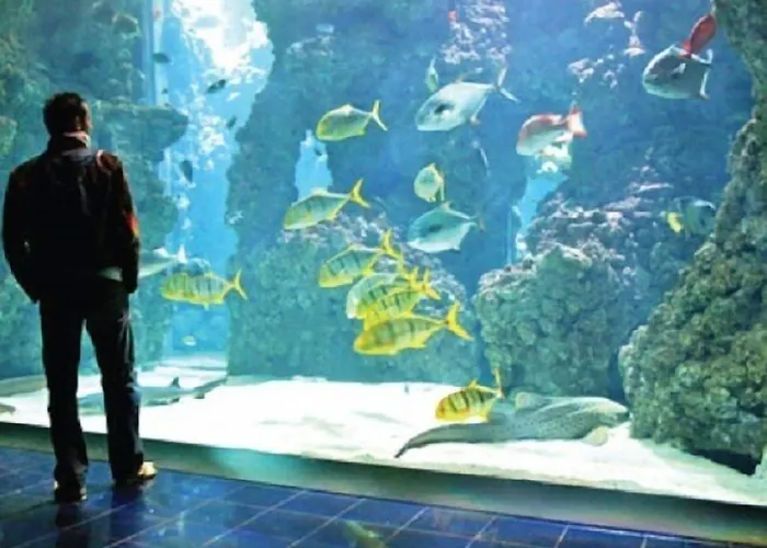 Serafino Liguria מלון